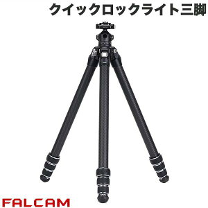 FALCAM TreeRoot NCbNbNCgOr C141K-301 # FC4903 t@J (Or)