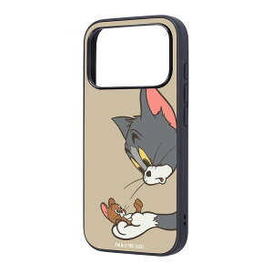 m2025n ingrem iPhone 17 Pro gƃWF[ maru Ռz op[ nCubhP[X gƃWF[_Lb` ubN # IQ-WP53K4TB/TJ42 CO (X}zP[XEJo[)