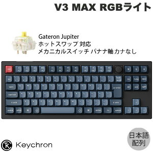 mԌZ[`12/1܂Łn Keychron V3 MAX QMK/VIA Mac{z JiȂ Bluetooth 5.1 / 2.4GHz CX Ή eL[X zbgXbv Gateron Jupiter XCb` oii RGBCg JX^