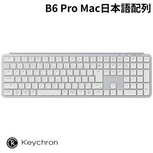 �V���R�����ی�J�o�[�t Keychron B6 Pro Mac���{��z�� �L�� / Bluetooth 5.2 / 2.4GHz ���C�����X ���Ή� �t���T�C�Y �V�U�[�X�C�b�` �E���g���X���� ���C�����X�L�[�{�[�h �V���o�[ # B6P-K14-JIS �L�[�N