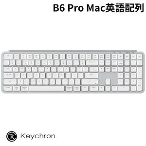 �V���R�����ی�J�o�[�t Keychron B6 Pro Mac�p��z�� �L�� / Bluetooth 5.2 / 2.4GHz ���C�����X ���Ή� �t���T�C�Y �V�U�[�X�C�b�` �E���g���X���� ���C�����X�L�[�{�[�h �V���o�[ �L�[�N���� Windows / Ma
