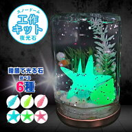 【スノードーム 工作キット】簡単なのに本格的 手作りキット(夜光石シリーズ )小学生の女の子男の子向け …
