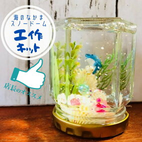 楽天市場 その他 人気ランキング1位 売れ筋商品