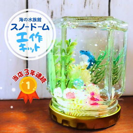 【まだ間に合う！夏休み工作】キットだから自由研究これ1つで完成！簡単 手作りスノードーム/ 小学生 低学年 中学年 高学年 男の子 女の子 親子 簡単 子供会 宿題 貝 海 イルカ プレゼント