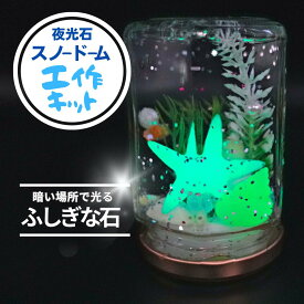 【工作キット】不思議体験！夜光石スノードーム クリスマス 誕生日　ギフト 小学生 自由研究 1年生 2年生 3年生 4年生 5年生 6年生 男の子 女の子 親子 簡単 子供会 貝 海 夏休み　冬休み
