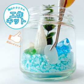 【工作キット】海のテラリウム！青い小石と貝で作る簡単工作 小学生 低学年 中学年 男の子 女の子 夏休み 冬休み 自由研究 イベント ワークショップ