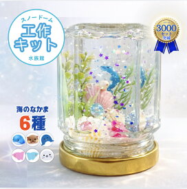 【工作キット】動画も見れて安心！まるでミニ水族館スノードームキット｜親子で作れる　夏休み自由研究におすすめ｜父の日 ギフト 小学生 男の子 女の子