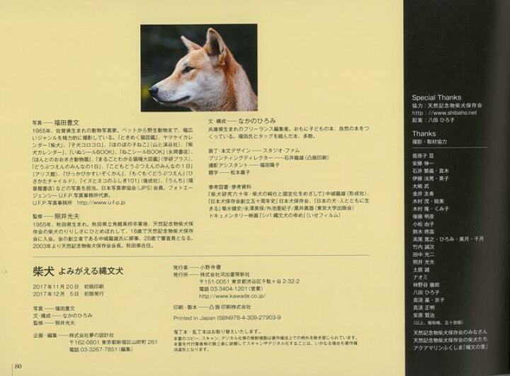 アウトレット品 ｔｈｅ チワワ ｄｏｇ