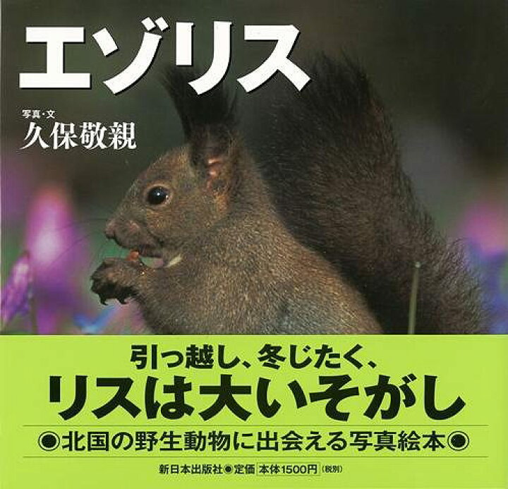 楽天市場 エゾリス 北国の野生動物 バーゲンブック 久保 敬親 新日本出版社 子ども ドリル 観察図鑑 飼育 絵本 えほん 観察 図鑑 写真 動物 冬 アジアンショップ楽天市場店