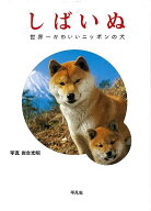 しばいぬ−世界一かわいいニッポンの犬/バーゲンブック{岩合 光昭 平凡社 ホーム・ライフ ペット ホーム …