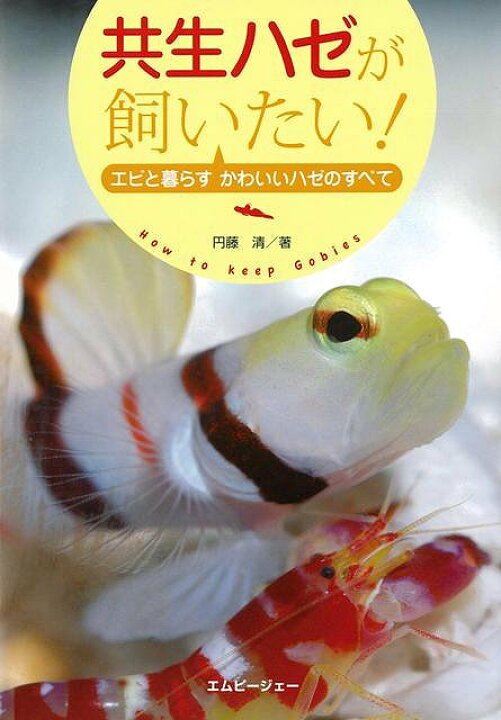 楽天市場 共生ハゼが飼いたい エビと暮らすかわいいハゼのすべて バーゲンブック 円藤 清 エムピージェー ホーム ライフ ペット ホーム ライフ 生活 飼育 写真 初心者 アジアンショップ楽天市場店