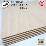 カットサービス有り　送料無料！【シナ合板 カット端材　600×600×9ミリ　5枚入り】 板　大判　木材　DI…