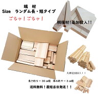 送料無料！バラバラあらかると端材　ごちゃ！ごちゃ！ 夏休み　宿題　木工　長・短タイプ　サイズ・樹種…