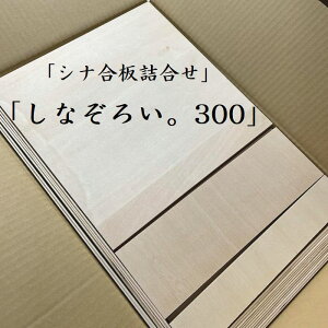300pIȂ낢B300@萡EʃJbg