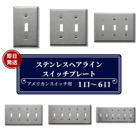 【即日発送】クーポンあり！ステンレスヘアラインスイッチプレート アメリカンスイッチ スイッチプレート 1口 2口 3口 4口 5口 6口 スイッチカバー アメリカ社製 プレート ステンレス インダストリアル DIY リフォーム 新築 改築 リノベーション 電気照明 電気工事 照明