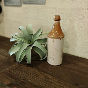 yzBe[W@Z~bN{g@t[x[X@ԕr@Ԋ@O[@t[@ԁ@IuWF@AeB[N@CeA@@킢@CeAG݁@V