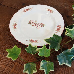 yz RR P[Lv[g R }j[ 19cm M M v[g M P[LM fU[gM     bh    v[g Mtg }j[V[Y NV