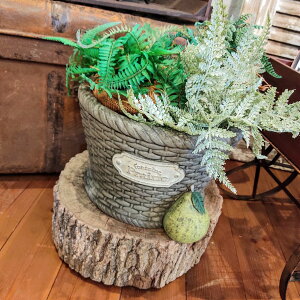 gCoXPbgB BR Aؔ v^[ |bg 񂹐A 傫 JS JS  AeB[N WN oXPbg oXPbg Jo[ K[f  GFB294BR