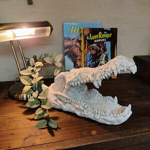 yzNR_CXJ@XJ@NR_C@IuWF@K[fG݁@O[@A@ϗtA@CeA@@@3394