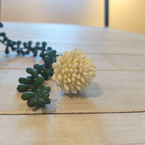 Z_A\[gsbN N[ A[eBtBVt[  Z_ A  zCg t[AWg EFfBO EFfBOu[P [X p[c RT[W sb