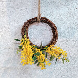 n[t[X ~U@R L hJr  tFCNO[ 26cm [X G} Ǌ| [X ϗtA 킢 hV̓ j ~U̓ F@ց@rO fBXvC Ce