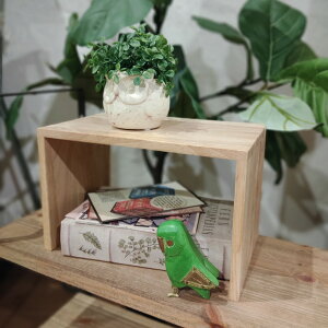 1003670-01@o[EbhfBXv[X^hiLji` ۘaf o[Ebh fBXv[X^h O 16×15×25cm fBXvC fBXvCI rt fBXvCX^h 