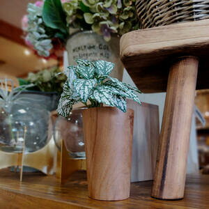 yzWOOD[N@Jbv@L@V[VEbh@ؐi@yā@tFCNO[@H@CeA@G݁@308408