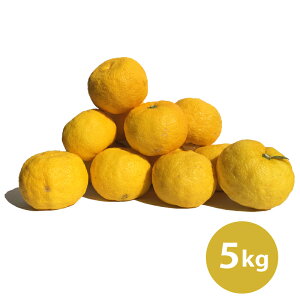 【予約販売】農薬・化学肥料不使用栽培の木頭柚子(黄玉)5kg (約50個)黄金の村 徳島 木頭ゆず ゆず ユズ yuzu 黄玉 自家農園 農薬・化学肥料不使用 特別栽培 果皮 肉厚 良い香り 酸味 ゆず湯