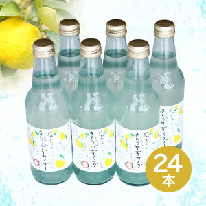 きとうゆずサイダー24本入り【木頭柚子サイダー黄金の村徳島木頭ゆず】
