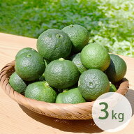 【送料無料】農薬・化学肥料不使用栽培の木頭柚子（青ゆず）　3kg（約36個） 農薬化学肥料不使用 黄金の…