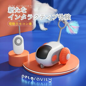 猫用おもちゃ 電動おもちゃ 電動式 リモコン車 猫用 知能 猫 猫グッズ ネズミ 猫用品 ペット ペット用品 ペットグッズ 耐久性 知育玩具 一人遊び かわいい
