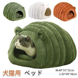 2026N ~p g Lbg  LnEX ybgxbh L xbh h[^ NbVt ۉh g  xbh ybgNbV LbgnEX ӂӂ _炩 K 􂦂 