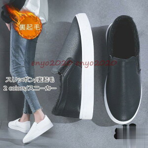 u|Cg10{IvXj[J[ fB[X Xb| V[Y N ؂񂱌C t@[ tbg h g ₷ ꂢ 