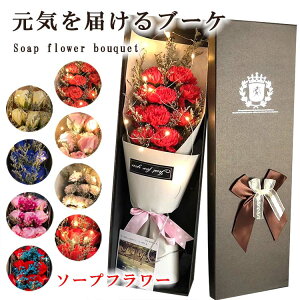  \[vt[ ԑ LEDCg v[g Mtg ̓  Əj Ǝ o J[l[V u[P a \ LO j e  ޏ  VN җ Ȃ