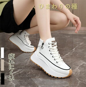  Xj[J[ _炩 Xj[J[ fB[X V[Y r nCJbg u[c Xj[J[u[c t  H ~C JWAV[Y ɂȂ V[gu[c fB[X nClbNX