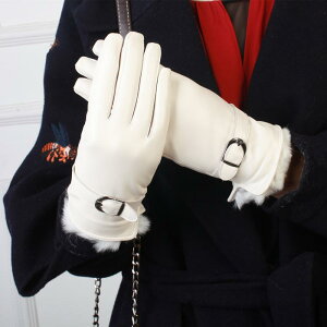  fB[X p rv {v rbgt@[ N  ~ h g ۉ 5{w O[u ubN zCg ㎿   JWA ʋ v[g Vv(x2)