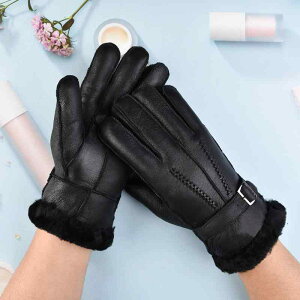  jp rш̌^ [g {v U[ 5{wO[u H~ ~p h ۉ g rv A[g  i v oCN ^] CfBO ʋ ʊw AEghA ig