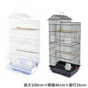   P[W  Ƃ肩  ^ CR   IE  o[hP[W  ~܂ GT