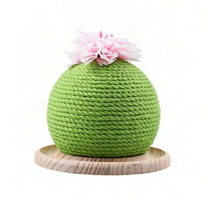 L܂Ƃ l T{e ܌ ܂݂ L ߖ ` VRЂ XgX ^s   (O[)