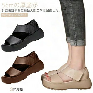 Od ɂ T_ lԍHw r  b K fB[X ʋC K  Xj[J[T_ ₷ EH[LO gAbv 5cm T_ y L g