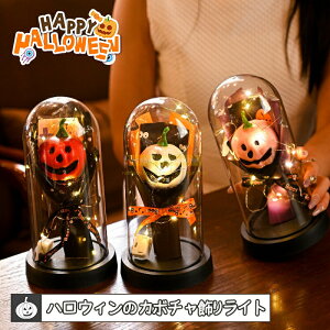 300~nEB  nEB Cg nEB^ nEB u nEBObY v  ^ LED Cg ڂ  fR[V nEBLED