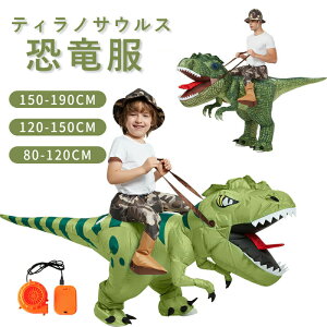 eBmTEX  Ct[^uX[c RXv lp qp  RXv RXv q   nEB[ Cxg a j [X lp150-190cm 