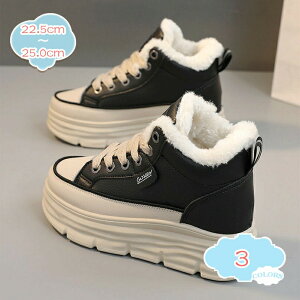 hC fB[X gbLOV[Y V[gu[c ҂ݏグ ~p N ےg ~ AEghA oRC [XAbv Xm[V[Y [gu[c ȌC  ʋ ʊw 