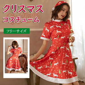 RXv RX`[ T^ ߑ p RXvߑ  NX}X  ZNV[ T^N[X T^RX VN  YN Xe[W f[g t[TCY 2_Zbg 傫