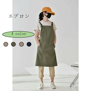 Gv  fB[X Y jp H^ |Pbg [NGv p lC x[LO ~NeB[ h~ Mtg v[g