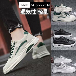 Xj[J[ Y jOV[Y ʋC y hL X|[c g[jOV[Y ^C ~ EH[LO WMO ʊw ʋ 