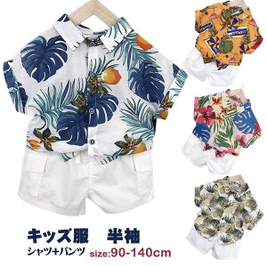 �Z�b�g�A�b�v T�V���c �p���c ������ ���n ���� �H�~ �q���� ���� �� ���]�[�g�� ���s �C �r�[�` �v���[���g 90-140cm �J���t�� �㉺�Z�b�g �傫���T�C�Y �����Y ���f�B�[�X �J�W���A�� �j�̎q 