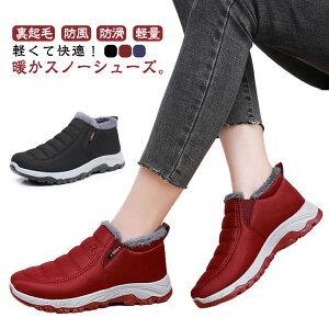 h Xm[V[Y  fB[X Xm[V[Y ~ {A h u[c ۉ Xm[u[c h  hC Y Xb| oR AEghA Lv ʊw ʋ ₷ y