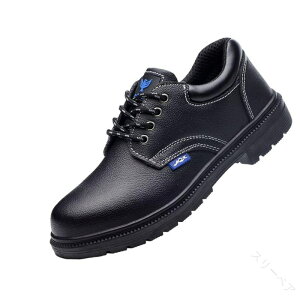 SC v Z[teB[V[Y nCJbg ƃu[c |ܐ ܐی Bݔh~ ʋC ~ NbV y hL h Ռz ≏ jp tBbgVXe H