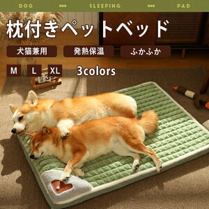 ���t���y�b�g�x�b�h ���L�p �l�R �x�b�h �������� �V���O���x�b�h �k�� ���[�x�b�h ���������C���i�[ �� �L �ӂ�ӂ� �~ �~�p �H �g���� �_�炩�� �������� �􂦂� ���n �Q�� ���^ ���^ �ۉ� 